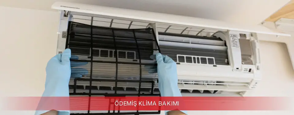 Ödemiş İlçemi Finlux Klima Bakımı