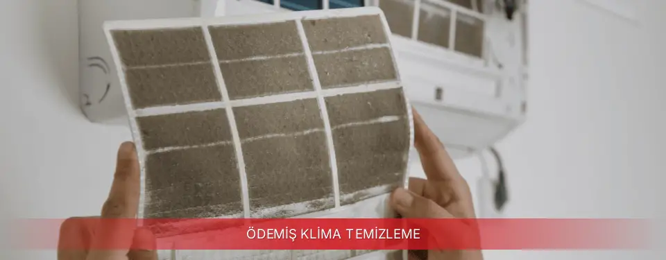 Ödemiş İlçemi Finlux Klima Temizleme